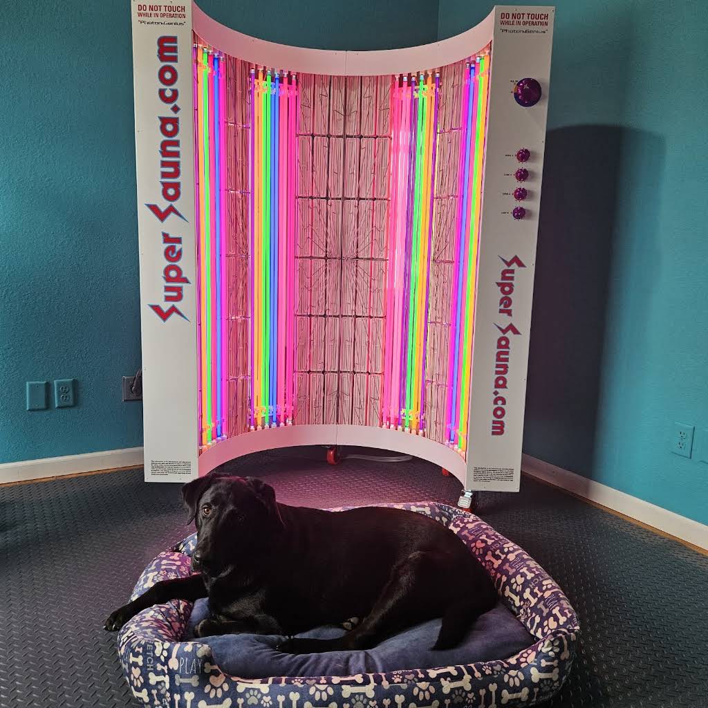 Northern Lights Sauna